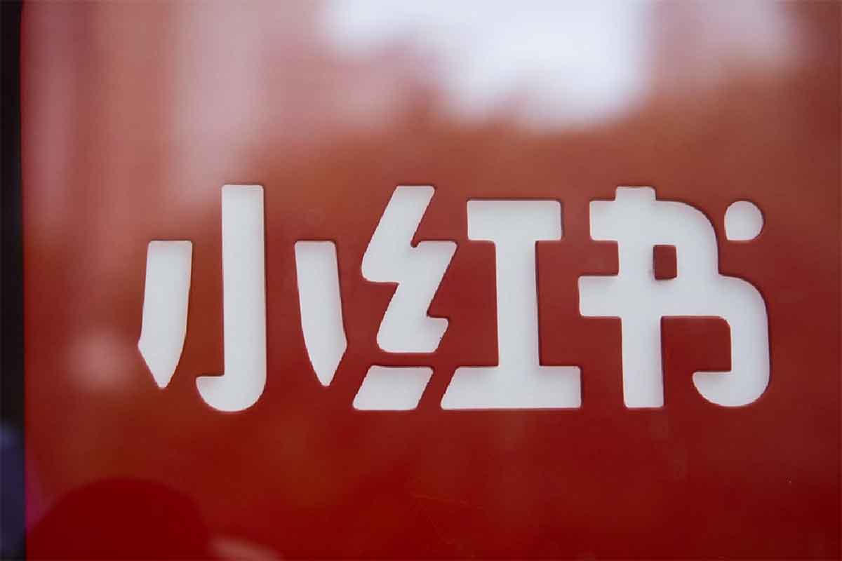 小红书 IP 打造课：从 0 到 1 陪你做能赚钱的小红书博主！